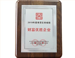 2019年度奉贤区奉城镇“财富优胜企业”