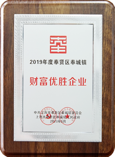 2019年度奉贤区奉城镇“财富优胜企业