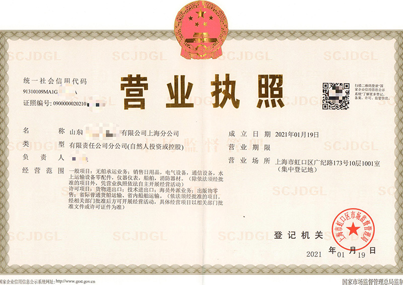 注册公司营业执照案例（五）